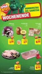 Gazetka promocyjna Marktkauf - Prospekt - Gazetka - ważna od 01.06 do 01.06.2024 - strona 46 - produkty: Bau, eis, Elan, fisch, fleisch, fleischkäse, frischfisch, Käse, kiwi, Kiwi Gold, medaillons, Pfingstrosen, reis, rosen, Ti, ZTE