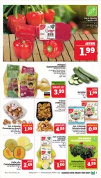Gazetka promocyjna Marktkauf - Prospekt - Gazetka - ważna od 01.06 do 01.06.2024 - strona 9 - produkty: braun, champignon, champignons, champignons braun, eis, melone, Pfifferlinge, reis, salat, Ti, zitrone, zitronen, ZTE