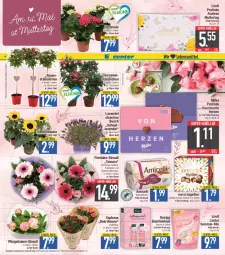 Gazetka promocyjna E Center - Angebote der Woche - Gazetka - ważna od 13.05 do 13.05.2023 - strona 8 - produkty: amicelli, beutel, blume, dusche, eis, ente, Gerber, geschenkset, hortensie, kneipp, lavendel, lindor, lindt, Lotion, merci, milka, Pfingstrosen, pflanze, pflanzen, reis, rosen, schoko, sonnenblume, super-knüller, Ti, topf, Waffelröllchen, ZTE