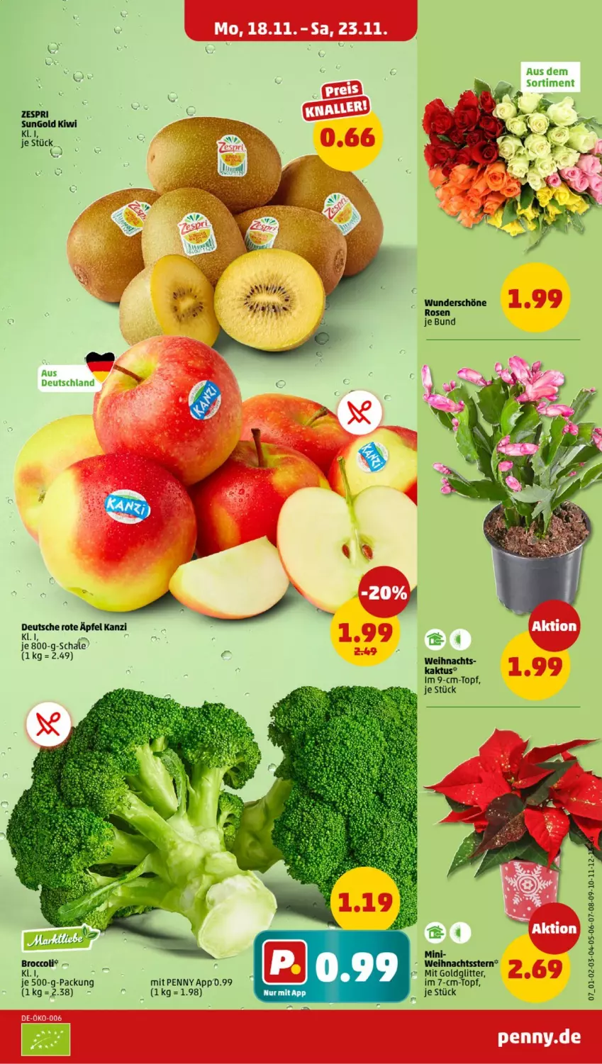 Aktueller Prospekt Penny - Prospekte - von 18.11 bis 23.11.2024 - strona 7 - produkty: broccoli, im 9-cm-topf, Schal, Schale, Ti, topf, Weihnachtsstern, zespri