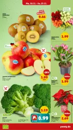 Gazetka promocyjna Penny - Prospekte - Gazetka - ważna od 23.11 do 23.11.2024 - strona 7 - produkty: broccoli, im 9-cm-topf, Schal, Schale, Ti, topf, Weihnachtsstern, zespri