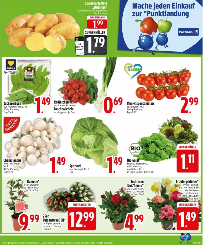 Aktueller Prospekt Edeka - Prospekte - von 03.02 bis 08.02.2025 - strona 5 - produkty: beutel, blattspinat, champignon, champignons, cola, Lauchzwiebel, lauchzwiebeln, mac, mini-rispentomaten, papier, payback, radieschen, rispentomaten, rosen, rucola, salat, spinat, spitzkohl, Ti, tomate, tomaten, topf, zwiebel, zwiebeln