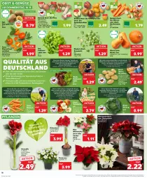 Gazetka promocyjna Kaufland - Prospekt - Gazetka - ważna od 22.11 do 22.11.2023 - strona 18 - produkty: angebot, Bad, ball, Bau, beutel, bio, bioland, blume, butter, champignon, champignons, clementinen, die kaufland, eis, ente, erde, früchte, gabel, karotten, kartoffel, kartoffeln, kiwi, Kiwi Gold, kräuter, Kräuterseitlinge, Kürbis, mac, möhren, obst, Obst und Gemüse, pflanze, pflanzen, pilze, reifen, reis, ritter, rosen, Rosenkohl, sac, salat, speisekartoffeln, tafeläpfel, Ti, tisch, topf, topf ø 12 cm, übertopf, und gemüse, Vase, wasser, Weihnachtsstern, wein, Wirsing, ZTE, zwiebel, zwiebeln