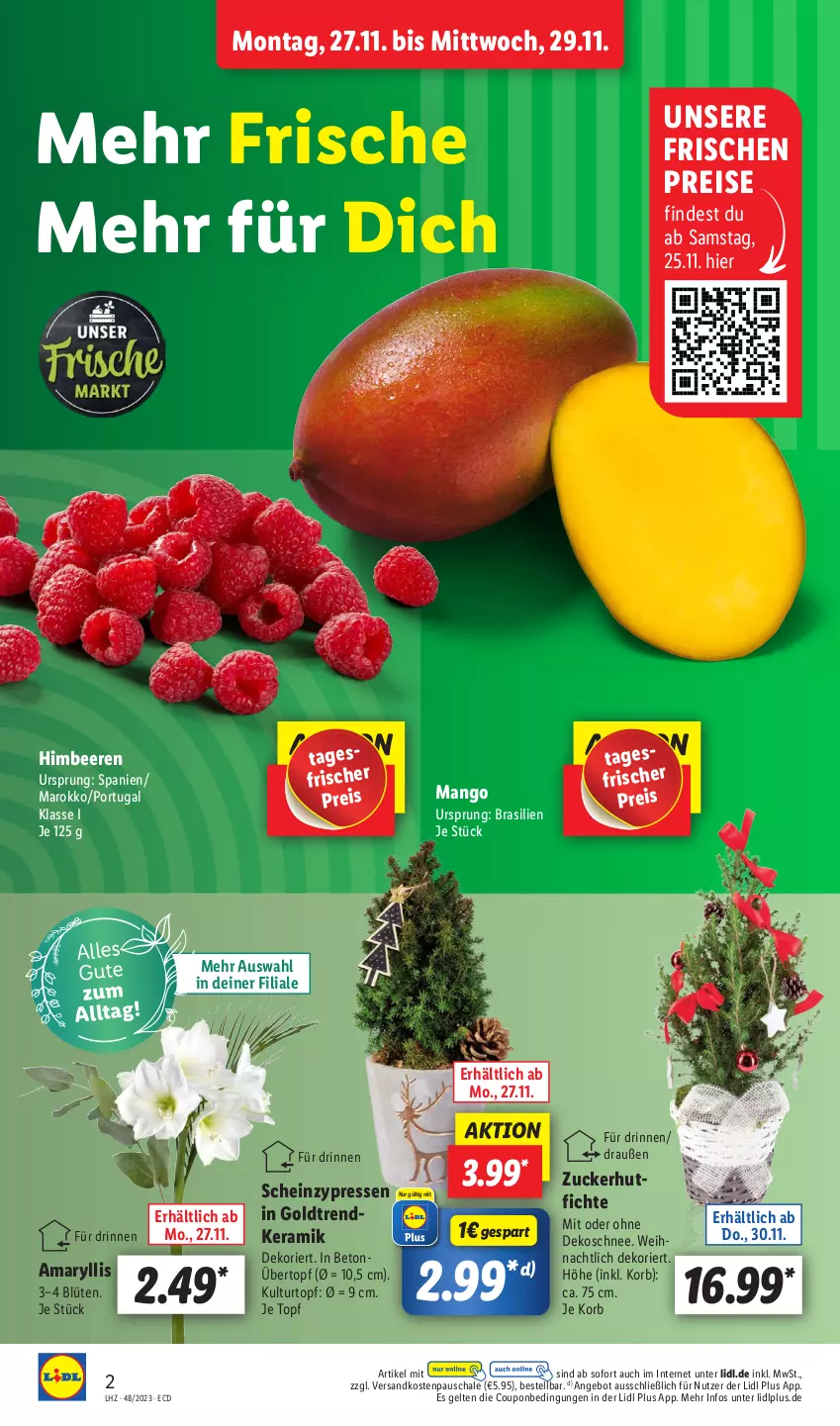 Aktueller Prospekt Lidl - Aktionsprospekt - von 27.11 bis 02.12.2023 - strona 2 - produkty: angebot, beere, beeren, Blüte, coupon, eis, heinz, himbeer, himbeere, himbeeren, korb, kulturtopf, mango, ndk, reis, Schal, Schale, Ti, topf, übertopf, zucker