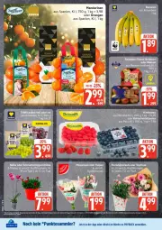 Gazetka promocyjna Edeka - Prospekte - Gazetka - ważna od 07.02 do 07.02.2026 - strona 8 - produkty: beere, beeren, eis, himbeer, himbeere, himbeeren, mandarine, mandarinen, nuss, orange, orangen, payback, reis, tesa, Ti, ZTE