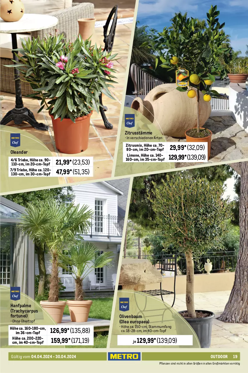 Aktueller Prospekt Metro - Outdoor & Grill - von 04.04 bis 30.04.2024 - strona 19 - produkty: balkonpflanzen, Bau, blume, blumen, blumenerde, dünger, erde, flüssigdünger, Garten, limo, Metro, olive, oliven, pflanze, pflanzen, Pflanztopf, Ti, topf, übertopf