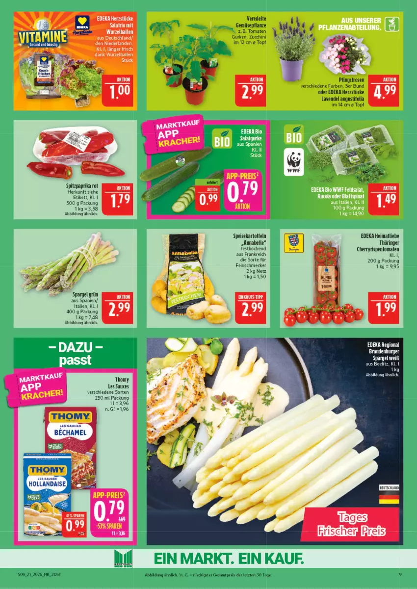 Aktueller Prospekt Marktkauf - Prospekt - von 17.05 bis 23.05.2026 - strona 9 - produkty: ball, deka, eis, elle, feinschmecker, gurke, gurken, hollandaise, kartoffel, kartoffeln, lavendel, paprika, paprika rot, pflanze, reis, ring, rispentomaten, rosen, sauce, spargel, spargel grün, speisekartoffeln, Spitzpaprika, thomy, thomy les sauces, Ti, tomate, tomaten, topf, ZTE, zucchini