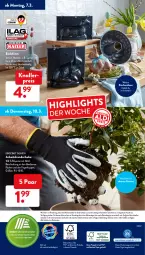 Gazetka promocyjna AldiSud - ALDI Aktuell - Gazetka - ważna od 12.03 do 12.03.2022 - strona 47 - produkty: aldi, alle artikel ohne dekoration, Backform, dekoration, dell, drucker, eis, elle, Engel, ente, Garten, gin, handschuhe, kerze, kleid, Kleidung, knallerpreis, küche, Küchen, lebensmittel, Mode, papier, reis, ring, schuhe, Springform, Ti, ZTE