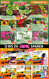 Gazetka promocyjna Norma - Norma - Gazetka - ważna od 10.06 do 10.06.2024 - strona 14 - produkty: ananas, aubergine, auer, bio, blume, Blüte, blütenhonig, braten, braun, butter, creme, dip, dipladenia, eis, feinwaschmittel, fertiggericht, flasche, fleisch, flieder, frucht, Garten, geschnetzeltes, gin, gulasch, hama, honig, kartoffel, kirsch, kirsche, kohlrabi, kopfsalat, kulturtopf, lack, orange, paprika, pasta, petersilie, pflanze, pflanzen, pflaume, rind, rinder, Rinderroulade, salat, salatherzen, Schal, Schale, sonnenblume, Ti, tomate, tomaten, topf, übertopf, waschmittel, wein, WICK, zahnpasta, Zelt, zucker, zwiebel