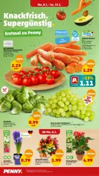 Gazetka promocyjna Penny - Prospekte - Gazetka - ważna od 13.01 do 13.01.2024 - strona 6 - produkty: beere, beeren, beutel, blume, eis, elle, reis, rosen, Rosenkohl, Schal, Schale, tafeltrauben, Ti, topf, trauben, ZTE