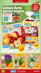 Gazetka promocyjna Penny - Prospekte - Gazetka - ważna od 13.01 do 13.01.2024 - strona 7 - produkty: apfel, Becher, beutel, fenster, honig, pflanze, Ti, topf