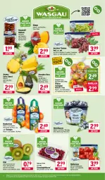 Gazetka promocyjna Wasgau - Gazetka - ważna od 07.02 do 07.02.2026 - strona 8 - produkty: ananas, angebot, apfel, auer, avocado, avocados, Becher, beere, beeren, beutel, Calcium, Datteln, eis, elle, grana, granatapfel, granatapfelkerne, heidelbeere, heidelbeeren, karamell, kiwi, mandarine, mandarinen, mango, natur, Nektar, nektarinen, orange, orangen, Rana, reis, Rubin, Schal, Schale, tafeläpfel, Ti, trauben