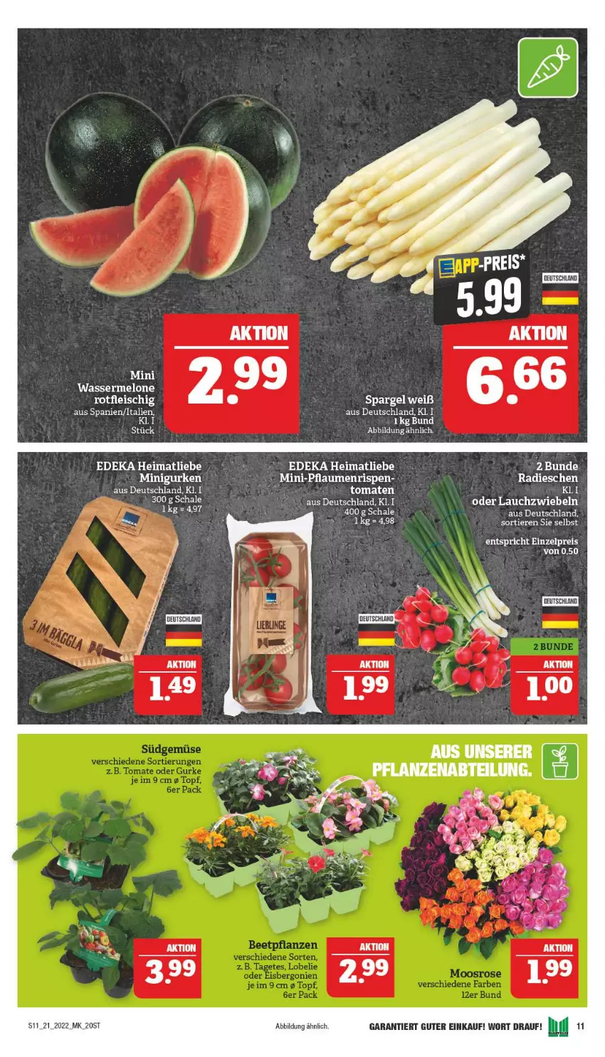 Aktueller Prospekt Marktkauf - Prospekt - von 22.05 bis 28.05.2022 - strona 11 - produkty: deka, eis, fleisch, gurke, gurken, Lauchzwiebel, lauchzwiebeln, melone, pflaume, pflaumen, radieschen, Schal, Schale, spargel, tee, Ti, tomate, tomaten, wasser, wassermelone, zwiebel, zwiebeln