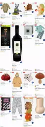 Gazetka promocyjna Dm Drogerie - Prospekte - Gazetka - ważna od 13.12 do 13.12.2023 - strona 2 - produkty: Anzug, apfel, Aufbewahrungsdose, bio, blume, blumen, body, braun, eis, elle, gillette, Girlande, Holz, hörnchen, hose, Jacke, Kürbis, lack, leine, natives olivenöl, olive, oliven, olivenöl, olivenöl extra, orange, rasierer, Ria, Schlafanzug, Serviette, servietten, teller, Ti, Vase, WICK, Wickelbody, wolle
