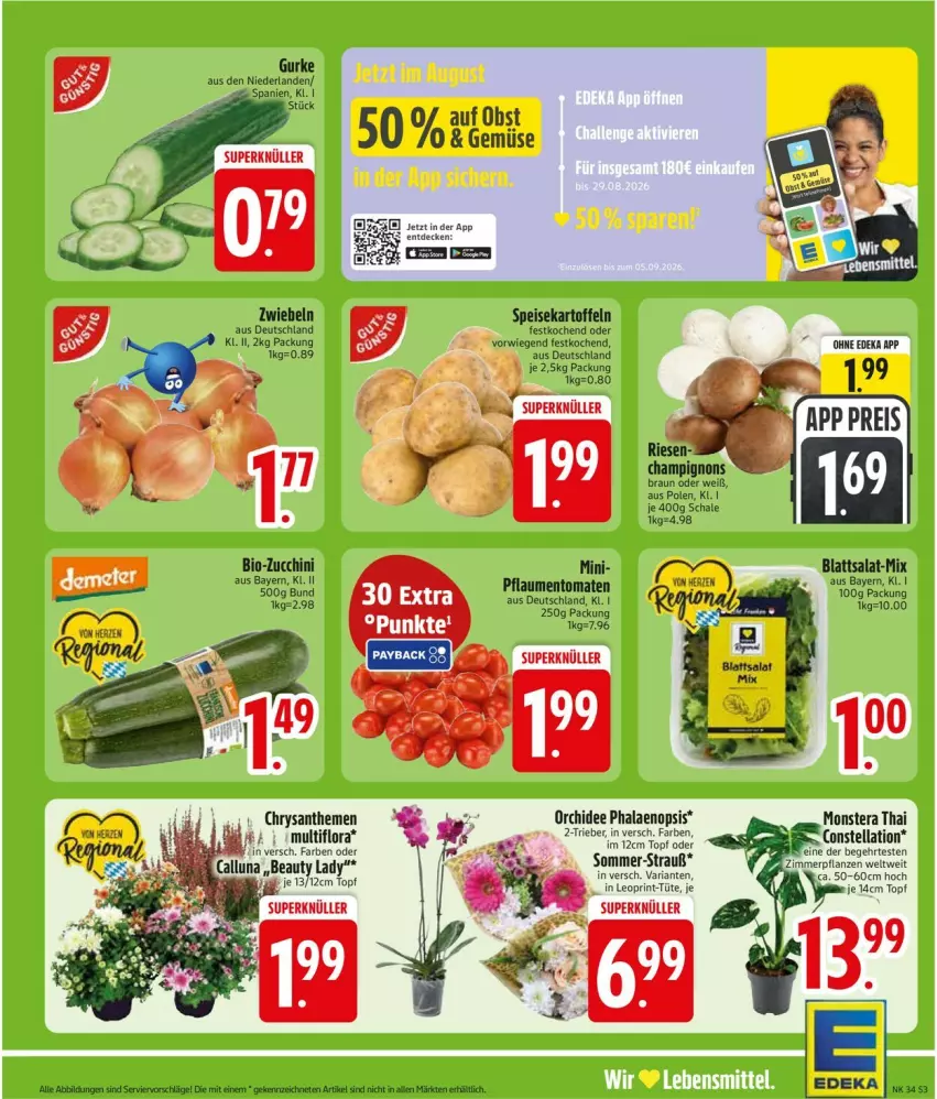 Aktueller Prospekt Edeka - Prospekte - von 17.08 bis 22.08.2026 - strona 5 - produkty: bio, bio-zucchini, braun, champignon, champignons, champignons braun, chrysanthemen, deka, eis, gurke, kartoffel, kartoffeln, monster, Monstera, orchidee, pflanze, pflanzen, pflaume, pflaumen, phalaenopsis, rama, Ria, salat, Schal, Schale, speisekartoffeln, Ti, tomate, tomaten, topf, Tüte, zucchini, zwiebel, zwiebeln