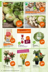 Gazetka promocyjna Tegut - Angebote der Woche - Gazetka - ważna od 26.02 do 26.02.2022 - strona 8 - produkty: angebot, angebote, Bau, bio, Bio-Paprika, blume, blumen, Blumen und Pflanzen, blumenkohl, braun, champignon, champignons, dekoration, eis, eisbergsalat, kartoffel, kartoffeln, kohlrabi, Narzissen, natur, naturland, paprika, paprika rot, pflanze, pflanzen, reis, ring, rosen, sac, salat, Schal, Schale, speisekartoffeln, Ti, topf