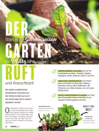 Gazetka promocyjna Norma - Norma - Gazetka - ważna od 30.04 do 30.04.2022 - strona 16 - produkty: angebot, aubergine, Bank, blume, blumen, blumenkohl, brokkoli, dünger, elle, erbsen, erde, fenster, fensterbank, Garten, gin, kräuter, Kürbis, magazin, möhren, paprika, petersilie, pflanze, pflanzen, pril, radieschen, salat, Schütze, tomate, tomaten, ZTE, zucchini