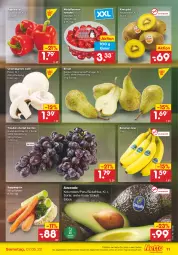 Gazetka promocyjna Netto Marken-Discount - Filial-Angebote - Gazetka - ważna od 07.05 do 07.05.2022 - strona 11 - produkty: angebot, asti, avocado, banane, bananen, Birnen, champignon, champignons, eimer, Elan, kiwi, Kiwi Gold, LG, paprika, paprika rot, pflaume, pflaumen, Schal, Schale, suppe, suppen, Ti, tomate, tomaten, trauben, ZTE