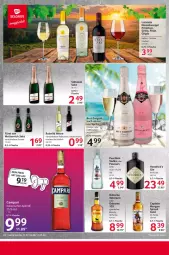 Gazetka promocyjna Selgros - Food - Gazetka - ważna od 17.07 do 17.07.2024 - strona 22 - produkty: aperitif, brut, brut dargent, campari, Cap, flasche, gin, grill, grillo, Mett, metternich, osborne, Pinot, pinot grigio, primitivo, sekt, söhnlein, Ti, veterano, vodka, wein, weine, Wild