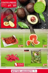 Gazetka promocyjna Selgros - Food - Gazetka - ważna od 17.07 do 17.07.2024 - strona 3 - produkty: angebot, angebote, avocado, eis, guacamole, reis, salat, Ti, vorspeise