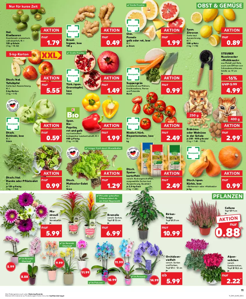 Aktueller Prospekt Kaufland - Prospekt - von 02.11 bis 08.11.2023 - strona 11 - produkty: angebot, angebote, apfel, ball, beere, beeren, beutel, bio, Bromelie, butter, cola, eis, elle, erdnüsse, früchte, grana, granatapfel, Holz, ingwer, kartoffel, kartoffeln, kiwi, knacker, kohlrabi, Kürbis, mac, möhren, nuss, Nussknacker, obst, orchidee, orchideen, paprika, petersilie, pflanze, pflanzen, Pomelo, Rana, Ria, rispentomaten, rucola, sac, salat, Schal, Schale, speisekartoffeln, suppe, suppen, tafeläpfel, Ti, tisch, tomate, tomaten, topf, topf ø 12 cm, trolli, übertopf, zitrone, zitronen