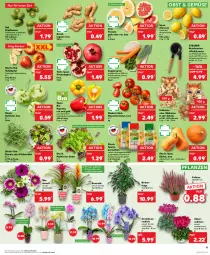 Gazetka promocyjna Kaufland - Prospekt - Gazetka - ważna od 08.11 do 08.11.2023 - strona 11 - produkty: angebot, angebote, apfel, ball, beere, beeren, beutel, bio, Bromelie, butter, cola, eis, elle, erdnüsse, früchte, grana, granatapfel, Holz, ingwer, kartoffel, kartoffeln, kiwi, knacker, kohlrabi, Kürbis, mac, möhren, nuss, Nussknacker, obst, orchidee, orchideen, paprika, petersilie, pflanze, pflanzen, Pomelo, Rana, Ria, rispentomaten, rucola, sac, salat, Schal, Schale, speisekartoffeln, suppe, suppen, tafeläpfel, Ti, tisch, tomate, tomaten, topf, topf ø 12 cm, trolli, übertopf, zitrone, zitronen