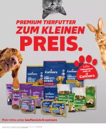 Gazetka promocyjna Kaufland - Prospekt - Gazetka - ważna od 08.11 do 08.11.2023 - strona 27 - produkty: angebot, angebote, eis, leine, reis, Ti