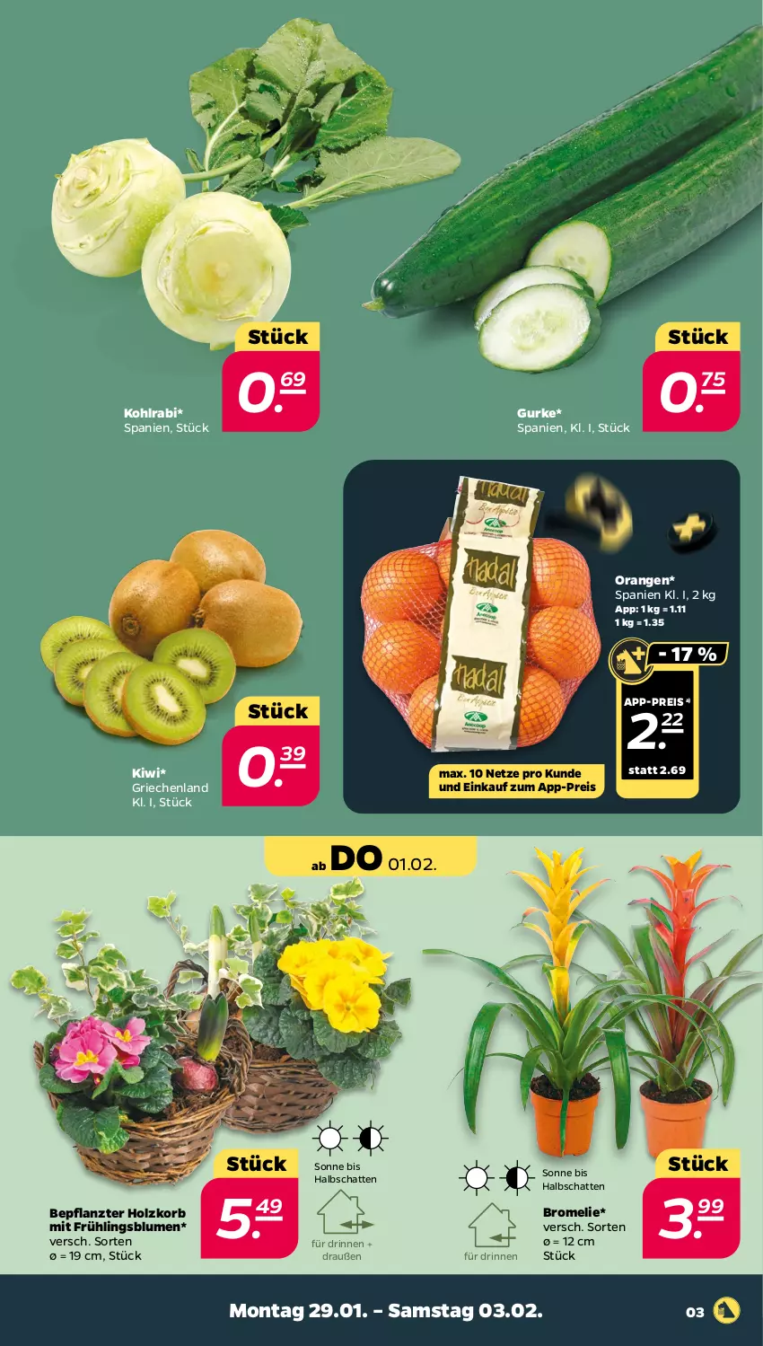 Aktueller Prospekt Netto - Woche 5 - von 29.01 bis 03.02.2024 - strona 3 - produkty: blume, blumen, Bromelie, eis, gurke, Holz, kiwi, kohlrabi, korb, orange, orangen, reis, ZTE