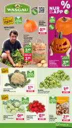 Gazetka promocyjna Wasgau - Gazetka - ważna od 02.10 do 02.10.2026 - strona 9 - produkty: Berger, beutel, blume, blumen, blumenkohl, Cashew, cranberry, eis, kartoffel, kartoffeln, kohlrabi, Kürbis, papier, Papiertüte, radieschen, reis, rosen, Rosenkohl, seeberger, speisekartoffeln, Tüte