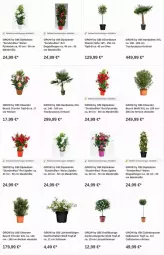 Gazetka promocyjna Obi - Prospekte - Gazetka - ważna od 28.06 do 28.06.2023 - strona 4 - produkty: Bau, dip, eis, Garten, olive, oliven, Ti, topf