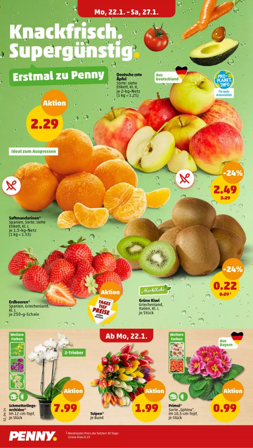 Aktueller Prospekt Penny - Prospekte - von 22.01 bis 27.01.2024 - strona 2 - produkty: beere, beeren, eis, erdbeere, erdbeeren, kiwi, mandarine, mandarinen, Mett, orchidee, reis, saft, Schal, Schale, Schmetterling, Ti, topf, Yo, ZTE