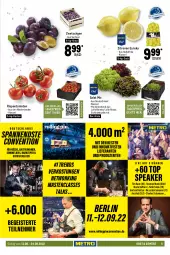 Gazetka promocyjna Metro - GastroJournal - Gazetka - ważna od 24.08 do 24.08.2022 - strona 5 - produkty: Abtei, angebot, angebote, aqua, backofen, ball, bio, braten, Eichblattsalat, eis, elle, filet, fisch, fleisch, forelle, frischfisch, Gesundheit, grill, Heilbuttfilet, hipp, kabeljaufilet, kartoffel, kartoffeln, küche, lachs, leine, LG, mac, mandel, mandeln, Metro, obst, Ofen, omega, Omega-3, reis, rel, rispentomaten, rwe, sac, saft, salat, salz, Ti, tisch, tomate, tomaten, Weste, Wild, zitrone, zitronen