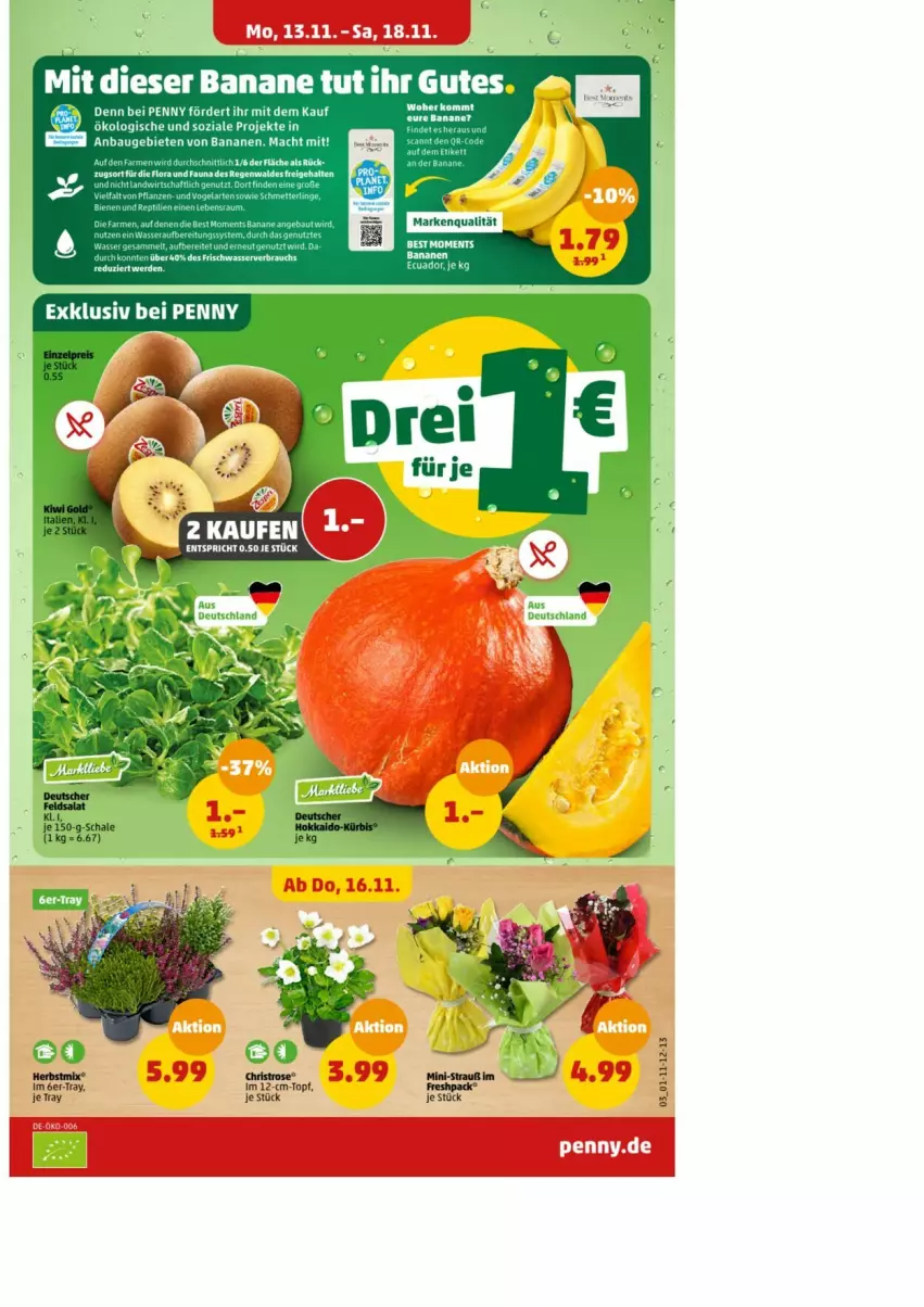 Aktueller Prospekt Penny - Prospekte - von 13.11 bis 18.11.2023 - strona 3 - produkty: banane, bananen, Bau, mac, Rauch, Ti, topf, wasser