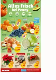 Gazetka promocyjna Penny - Prospekte - Gazetka - ważna od 18.11 do 18.11.2023 - strona 2 - produkty: erde, fenster, Holz