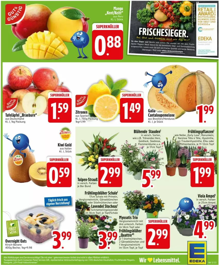 Aktueller Prospekt Edeka - Prospekte - von 17.03 bis 22.03.2025 - strona 3 - produkty: banane, Becher, blume, deka, kirsch, kiwi, Kiwi Gold, lamm, lavendel, melone, Mett, pflanze, pflanzen, Primeln, Schal, Schale, Schmetterling, stauden, tafeläpfel, Ti, topf, trauben, Yo, zitrone, zitronen