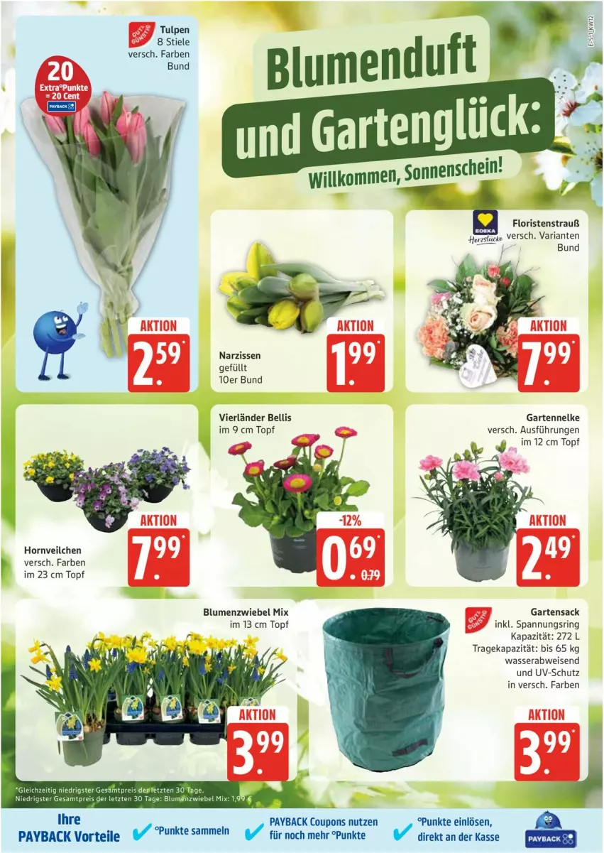 Aktueller Prospekt Edeka - Prospekte - von 17.03 bis 22.03.2025 - strona 5 - produkty: blume, blumen, coupon, coupons, eis, Garten, gartennelke, Gartensack, Narzissen, payback, reis, Ria, ring, sac, Ti, topf, uv-schutz, wasser, ZTE, zwiebel