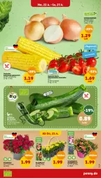 Gazetka promocyjna Penny - Prospekte - Gazetka - ważna od 27.04 do 27.04.2024 - strona 3 - produkty: eis, Gemüsezwiebel, Kraut, mais, Schal, Schale, Ti, tomate, tomaten, topf, zucker, zuckermais, zwiebel, zwiebeln