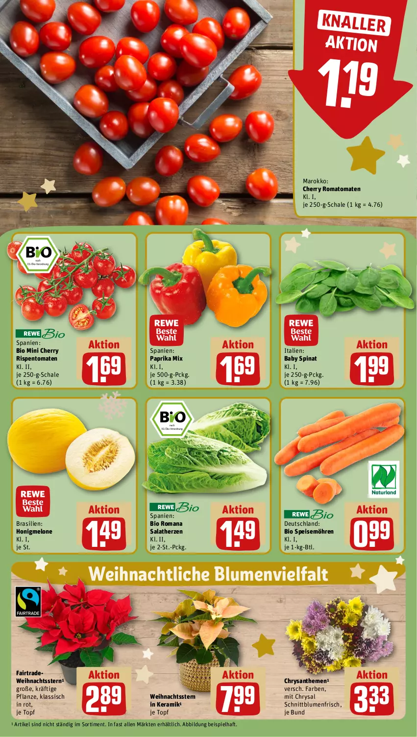 Aktueller Prospekt Rewe - Prospekte - von 27.11 bis 02.12.2023 - strona 7 - produkty: bio, blume, blumen, chrysanthemen, eis, honig, honigmelone, melone, möhren, paprika, paprika mix, pflanze, rispentomaten, Romatomaten, salat, salatherzen, Schal, Schale, speisemöhren, spinat, Ti, tomate, tomaten, topf, Weihnachtsstern