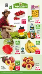 Gazetka promocyjna Wasgau - Gazetka - ważna od 16.05 do 16.05.2026 - strona 6 - produkty: angebot, aprikose, auer, banane, bananen, beere, beeren, eis, erdbeere, erdbeeren, kartoffel, kartoffeln, melone, Nektar, nektarinen, orange, orangen, pfirsich, pfirsiche, pfirsiche oder, reis, rosmarin, Schal, Schale, Ti, wasser, wassermelone