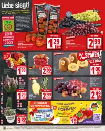 Gazetka promocyjna Edeka - Angebote der Woche - Gazetka - ważna od 23.09 do 23.09.2023 - strona 2 - produkty: Abtei, ananas, Astra, beere, beeren, deka, eis, ente, erdbeere, erdbeeren, frucht, Garten, korb, lebensmittel, Mett, mini-rispentomaten, obst, Obst und Gemüse, pflaume, pflaumen, reis, ring, rispentomaten, rosen, Schal, Schale, speyer, Stiegl, Ti, tomate, tomaten, top-preis, topf, und gemüse, wagner, Wild, ZTE