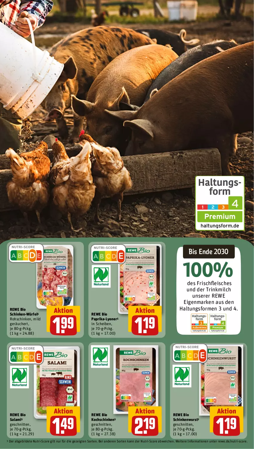 Aktueller Prospekt Rewe - Prospekte - von 21.08 bis 26.08.2023 - strona 17 - produkty: bio, eis, fleisch, kochschinken, lyoner, milch, paprika, rewe bio, rohschinken, salami, schinken, Schinken-Würfel, schinkenwurst, schnitten, Ti, würfel, wurst, Yo