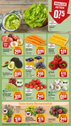 Gazetka promocyjna Rewe - Prospekte - Gazetka - ważna od 26.08 do 26.08.2023 - strona 11 - produkty: auer, avocado, Bau, Bauer, beere, beeren, bio, blume, blumen, eis, elle, erdbeere, erdbeeren, fleisch, knoblauch, kopfsalat, korb, lavendel, mais, möhren, paprika, pfirsich, pfirsiche, rewe beste wahl, salat, Schal, Schale, snack, tafeltrauben, Ti, topf, trauben, zucker, zuckermais