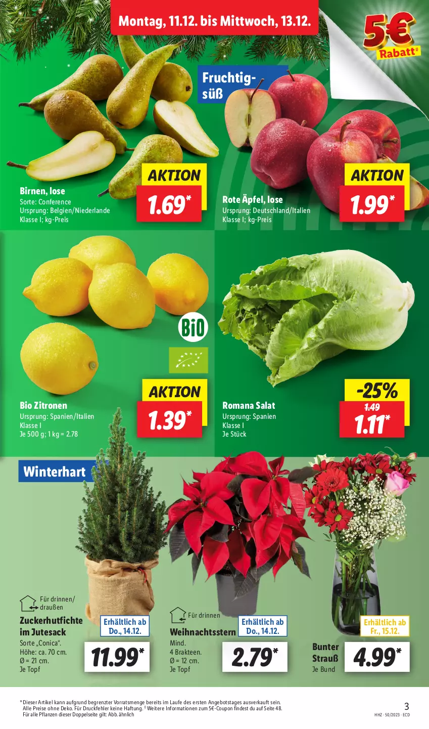 Aktueller Prospekt Lidl - Aktionsprospekt - von 11.12 bis 16.12.2023 - strona 3 - produkty: angebot, bio, Birnen, coupon, eis, frucht, LG, pflanze, pflanzen, reis, sac, salat, tee, tesa, Ti, topf, Weihnachtsstern, zitrone, zitronen, ZTE, zucker