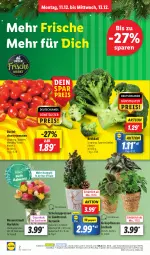 Gazetka promocyjna Lidl - Aktionsprospekt - Gazetka - ważna od 16.12 do 16.12.2023 - strona 2 - produkty: angebot, auer, brokkoli, cherrytomaten, coupon, eis, Grünpflanzen, heinz, korb, kulturtopf, ndk, pflanze, pflanzen, reis, rosen, Rosenstrauß, Schal, Schale, Ti, tomate, tomaten, topf, übertopf