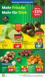 Gazetka promocyjna Lidl - Aktionsprospekt - Gazetka - ważna od 16.12 do 16.12.2023 - strona 54 - produkty: angebot, avocado, coupon, eis, eisbergsalat, mandarine, mandarinen, ndk, reis, salat, Schal, Schale, Ti, zwiebel