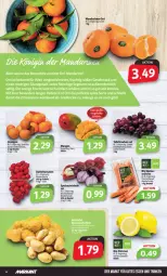 Gazetka promocyjna Markant - Prospekte - Gazetka - ważna od 04.03 do 04.03.2023 - strona 4 - produkty: beutel, bio, datteltomaten, eis, gutes essen, mandarine, mandarinen, möhren, orange, orangen, Schal, Schale, Speisezwiebeln, tafeltrauben, Ti, tomate, tomaten, trauben, zitrone, zitronen, zwiebel, zwiebeln