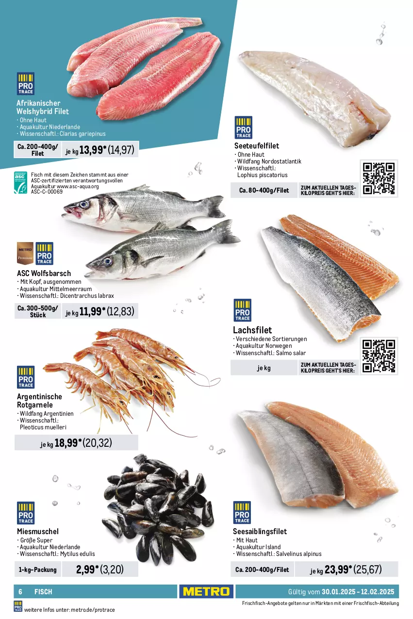 Aktueller Prospekt Metro - Food-Nonfood - von 30.01 bis 12.02.2025 - strona 6 - produkty: Abtei, angebot, angebote, aqua, beutel, bsf, eis, elle, feinkost, filegro, filet, fisch, fische, Fischer, Fischfeinkost, fischstäbchen, fleisch, frischfisch, hering, Herings, iglo, Krebs, krone, lachs, lachsfilet, matjes, Metro, Räucherlachs, reis, Ria, ring, rwe, Saibling, Schal, Schale, Schere, schott, Seesaiblingsfilet, Ti, tisch, Wels, Wild, wolfsbarsch