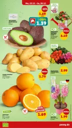 Gazetka promocyjna Penny - Prospekte - Gazetka - ważna od 28.12 do 28.12.2024 - strona 3 - produkty: kartoffel, kartoffeln, rosen, Ti, topf