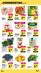 Gazetka promocyjna Netto - Woche 28 - Gazetka - ważna od 15.07 do 15.07.2023 - strona 22 - produkty: activia, activia joghurt, ball, beere, beeren, blume, blumen, brustfilet, dahlie, danone, danone activia, eis, Engel, ferrero, filet, filets, fleisch, fleischsalat, Frische Hähnchen, frucht, fruchtjoghurt, Frühkartoffeln, grill, grünländer, gurke, hähnchenbrust, hähnchenbrustfilet, heidelbeere, heidelbeeren, joghur, joghurt, kartoffel, kartoffeln, Kinder, Kinder Maxi, kinder maxi king, mehl, milch, Nackensteak, nackensteaks, sac, salat, speisefrühkartoffeln, steak, steaks, Ti, topf