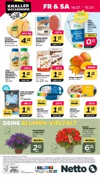 Gazetka promocyjna Netto - Woche 28 - Gazetka - ważna od 15.07 do 15.07.2023 - strona 28 - produkty: alle artikel ohne dekoration, angebot, Begonie, blume, blumen, Campanula, creme, dekoration, eis, elle, hering, joghur, joghurt, Kinder, kinder bueno, mais, mango, mayonnaise, natur, naturjoghurt, pommes, Pommes Frites, reis, remoulade, ring, sahne, salat, salatcreme, Ti, topf, Yo